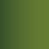 Vallejo Xpress Color 151 Orc Skin