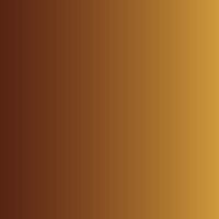 Vallejo Xpress Color Desert Ochre