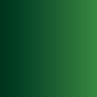Vallejo Xpress Color Forest Green