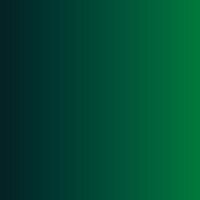 Vallejo Xpress Color Monastic Green