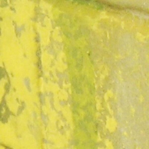 Vallejo Game Color Special FX 100 Moss and Lichen