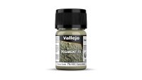 Vallejo Pigmente Green Earth