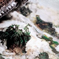 Vallejo Snow Effect 40ml