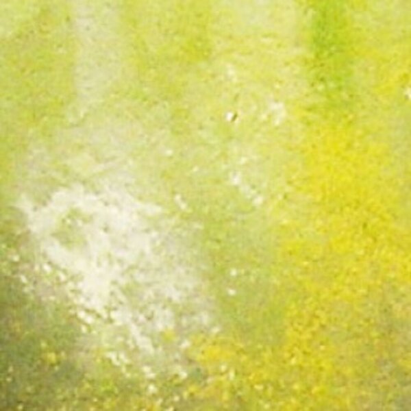 Vallejo Slimy Grime Light