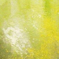 Vallejo Slimy Grime Light