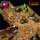 Dungeons & Lasers Dwarven Mine Half-Height Walls