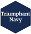 Triumphant Navy