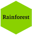 Rainforest