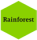 Rainforest