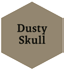 Dusty Skull