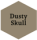 Dusty Skull