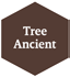 Tree Ancient