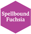 Spellbound Fuchsia