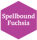 Spellbound Fuchsia