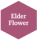 Elder Flower