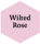 Wilted Rose