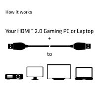 30409680_3989071707