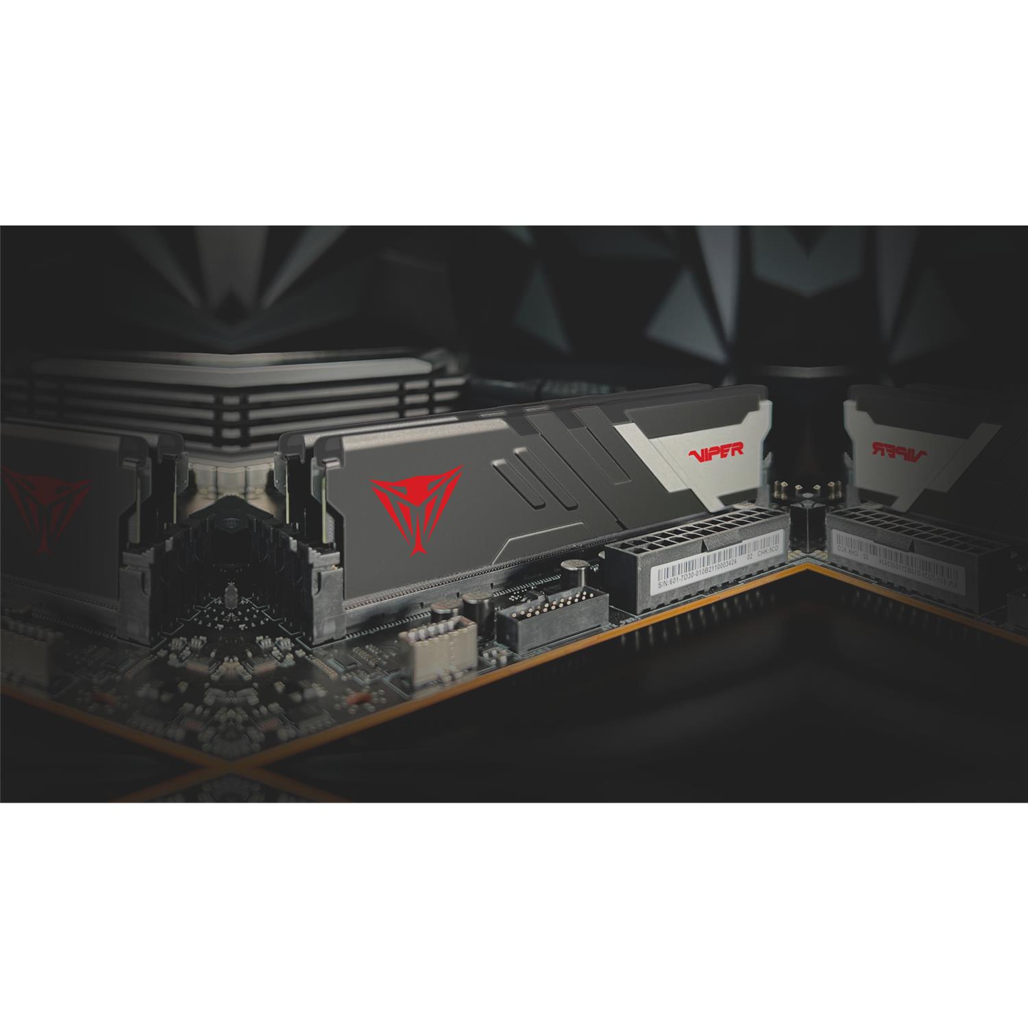 Zweites Bild vonPATRIOT Memory Viper Venom , 64 GB, 2 x 32 GB, DDR5, 288-pin DIMM, Schwarz, Weiß