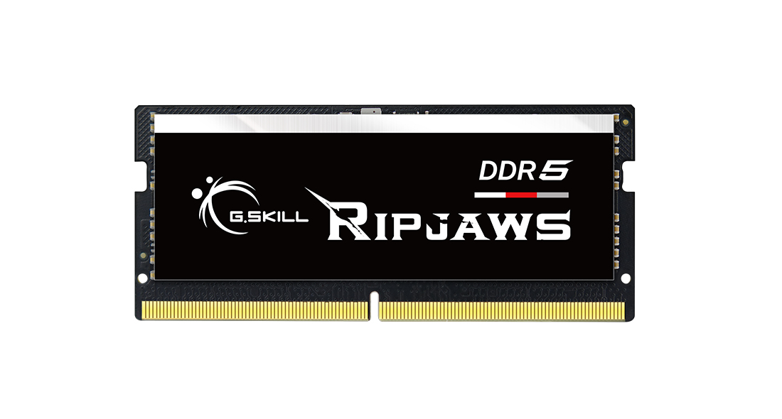 G.Skill Ripjaws F5-4800S3838A16GX1-RS, 16 GB, 1 x 16 GB, DDR5, 4800 MHz, 262-pin SO-DIMM