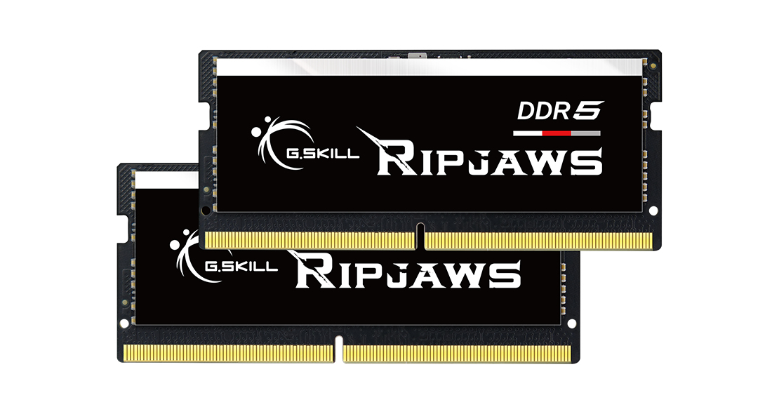 G.Skill Ripjaws F5-4800S4039A16GX2-RS, 32 GB, 2 x 16 GB, DDR5, 4800 MHz, 262-pin SO-DIMM