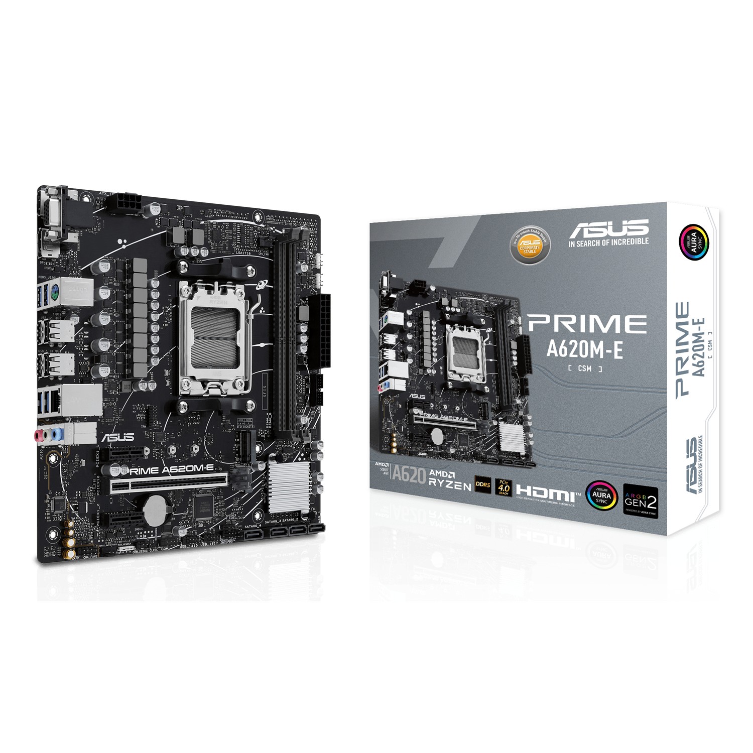 ASUS PRIME A620M-E-CSM, AMD, Sockel AM5, AMD Ryzen 7000 Series, Sockel AM5, DDR5-SDRAM, 96 GB