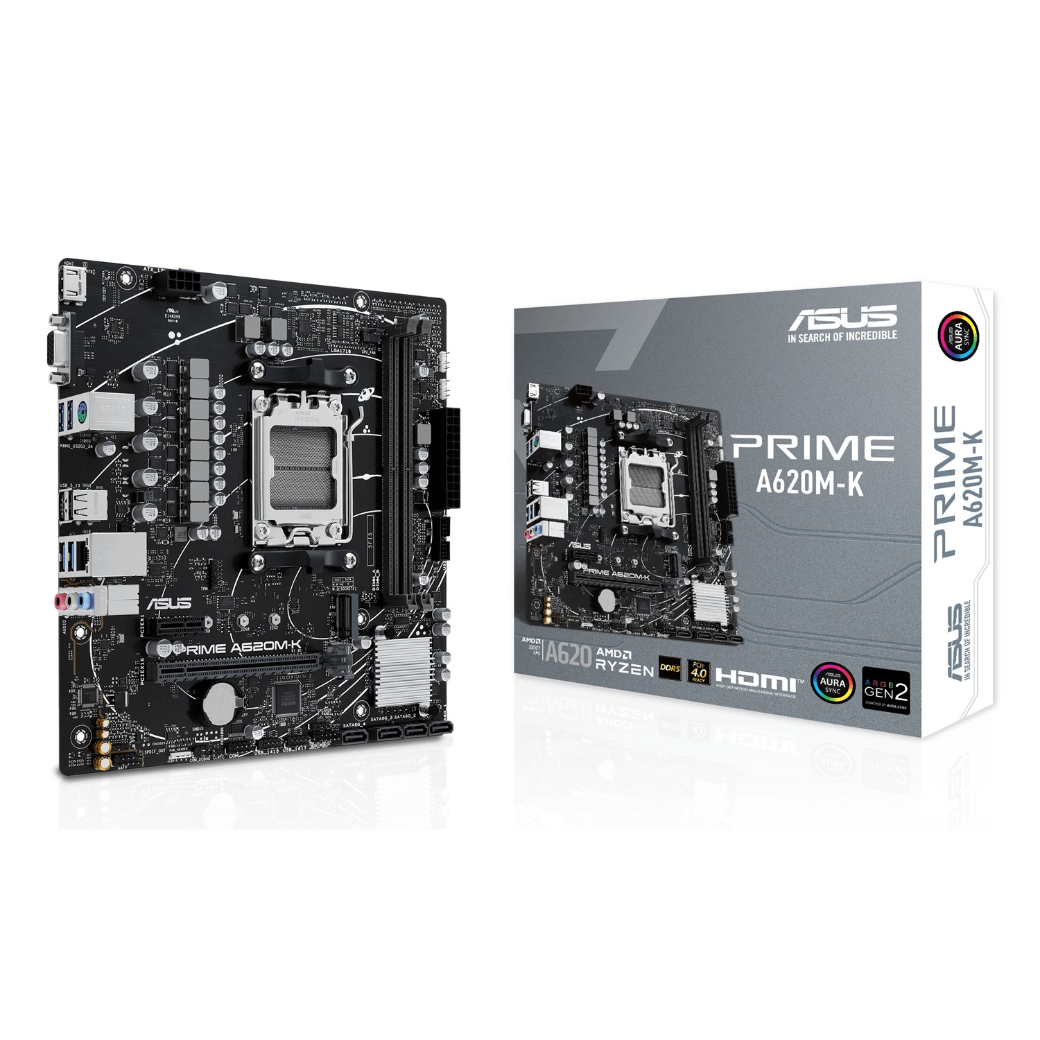 ASUS PRIME A620M-K, AMD, Sockel AM5, AMD Ryzen 7000 Series, Sockel AM5, DDR5-SDRAM, 96 GB