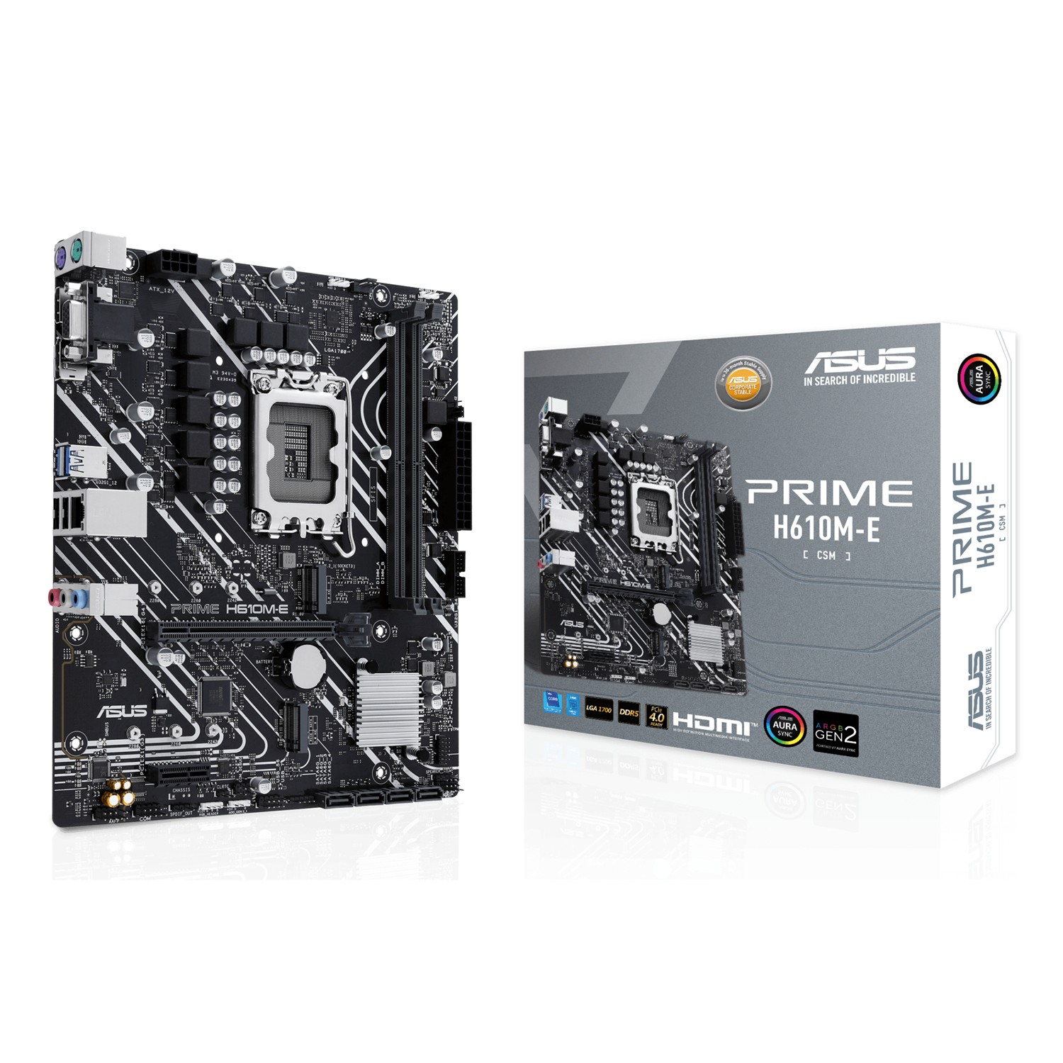 ASUS PRIME H610M-E-CSM, Intel, LGA 1700, Intel® Celeron®, Intel® Core™ i3, Intel® Core™ i5, Intel® Core™ i7, Intel® Core™ i9,..., LGA 1700, DDR5-SDRAM, 96 GB