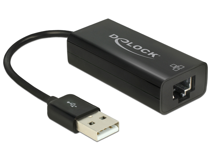 Delock 62595, Kabelgebunden, USB, Ethernet, 100 Mbit/s