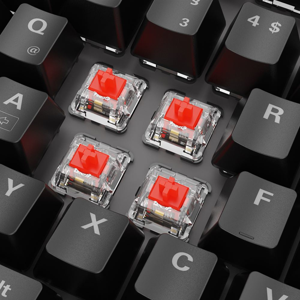 Zweites Bild vonSharkoon SKILLER SGK20 Red, Kabelgebunden, USB, Mechanischer Switch, QWERTZ, RGB-LED, Schwarz