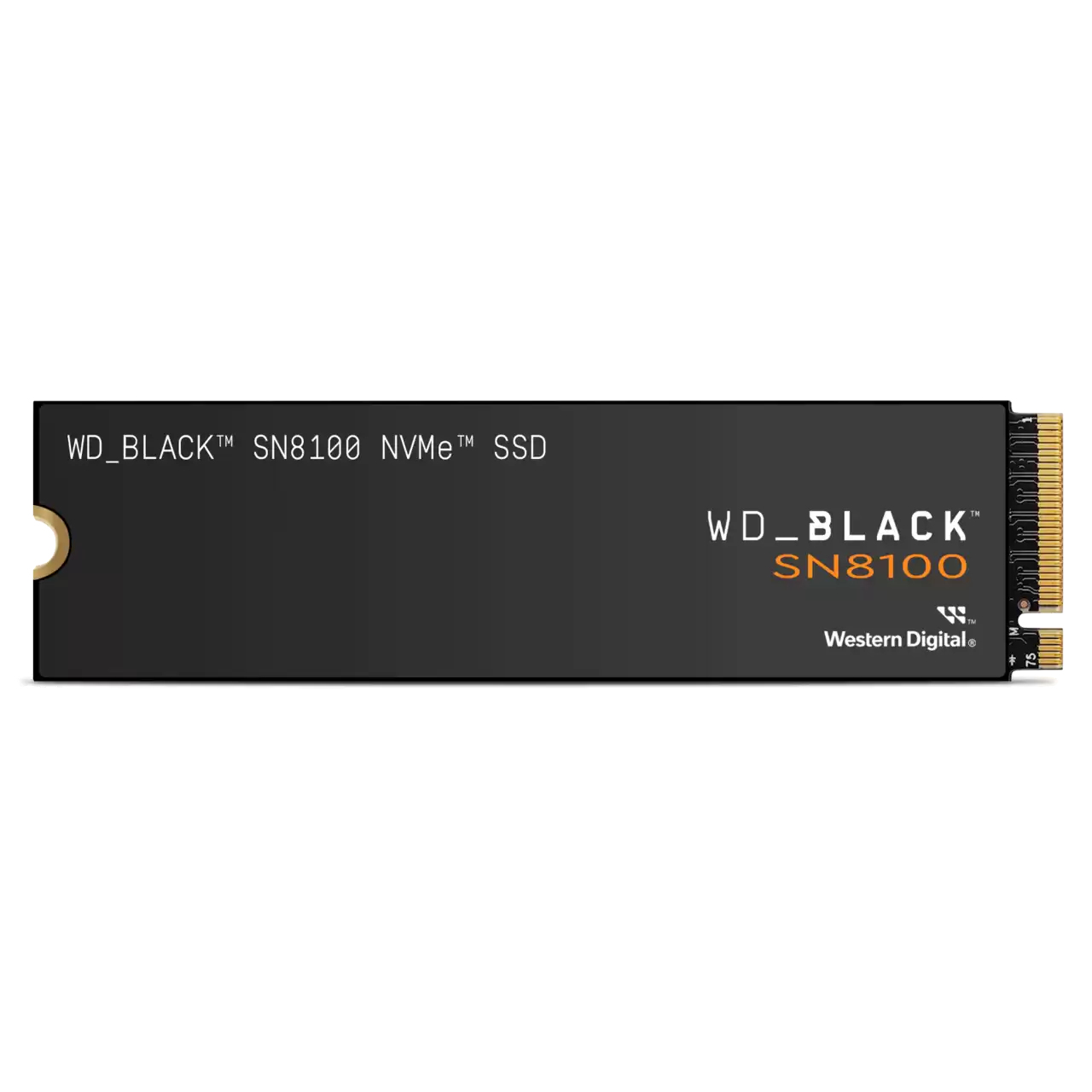 WD_BLACK Western Digital Black SN8100, 1 TB, M.2